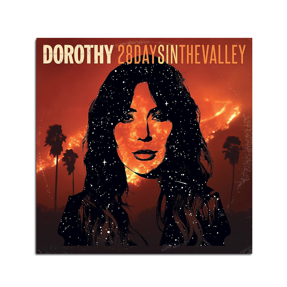 28 Days In The Valley CD