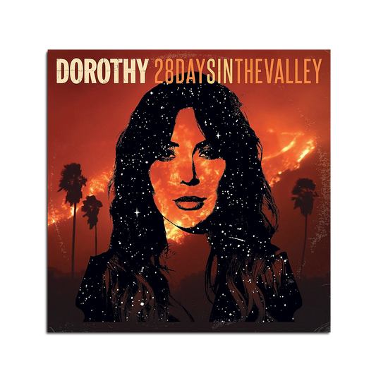 28 Days In The Valley CD
